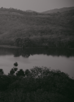 Julia JAECKIN - JAECKIN JULIA